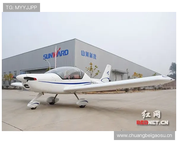 阿萨尔森训练完顺手给自己订了架私人飞机？